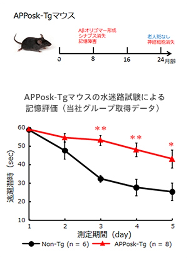 APPosk-Tgマウス イメージ